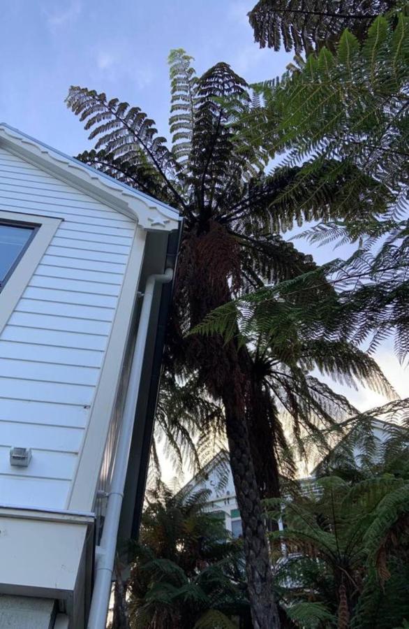 Hotel Tiny House In The Sky Dunedin Exterior foto
